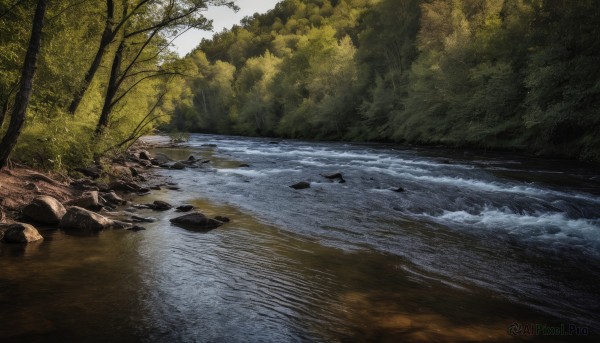 outdoors,day,water,tree,no humans,sunlight,grass,nature,scenery,forest,rock,river,landscape,shore,sky,cloud,ocean,beach,bush,waves