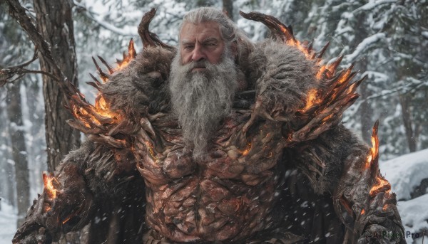 solo,looking at viewer,1boy,closed mouth,upper body,white hair,male focus,outdoors,horns,cape,armor,blurry,tree,muscular,facial hair,scar,fire,muscular male,shoulder armor,gauntlets,nature,beard,snow,spikes,forest,pauldrons,snowing,mature male,mustache,old,old man,bare tree,closed eyes,blurry background,facing viewer,scar on face,realistic,scar across eye,manly