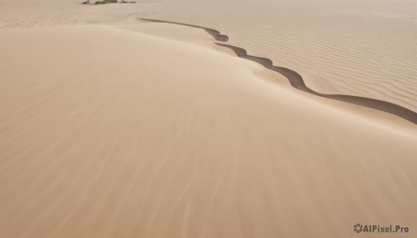 solo,outdoors,water,no humans,beach,scenery,sand,shore,desert,day,close-up,realistic,brown theme