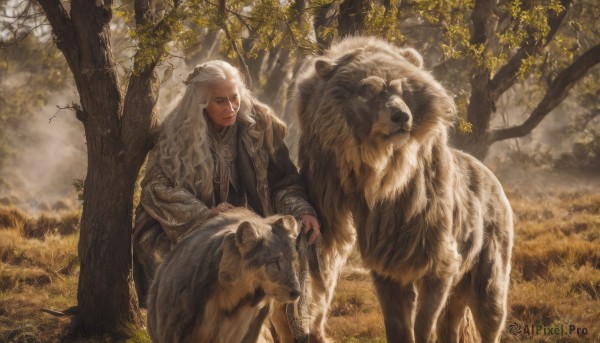 solo,long hair,smile,long sleeves,1boy,sitting,closed mouth,closed eyes,weapon,white hair,male focus,outdoors,day,tree,animal,grass,nature,forest,robe,cane,lion,petting,looking at viewer,braid,grey eyes,wavy hair,half updo,realistic,sheep