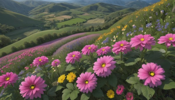 flower,outdoors,sky,day,tree,no humans,grass,nature,scenery,pink flower,forest,blue flower,mountain,yellow flower,purple flower,road,field,flower field,landscape,mountainous horizon,artist name,signature,leaf,plant