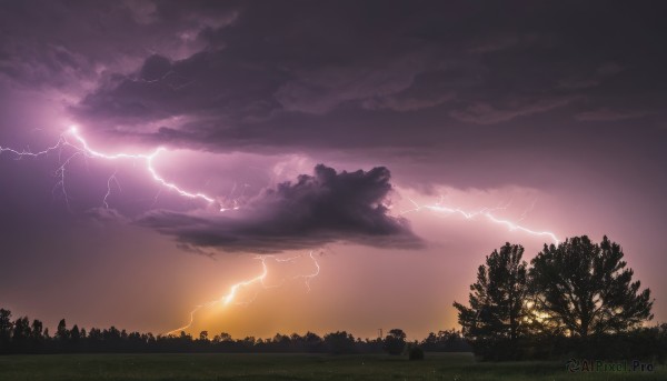 outdoors,sky,cloud,tree,no humans,cloudy sky,grass,nature,scenery,forest,sunset,electricity,lightning,landscape