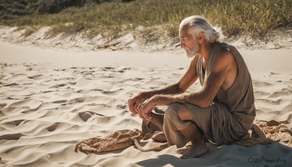 solo,1boy,sitting,closed mouth,tail,full body,closed eyes,white hair,male focus,outdoors,sleeveless,day,water,from side,profile,facial hair,beach,squatting,beard,rock,sand,basket,scales,old,old man,wrinkled skin,long hair,holding,bare shoulders,grey hair,grass,aged down,robe,realistic,on ground,shore,arm hair