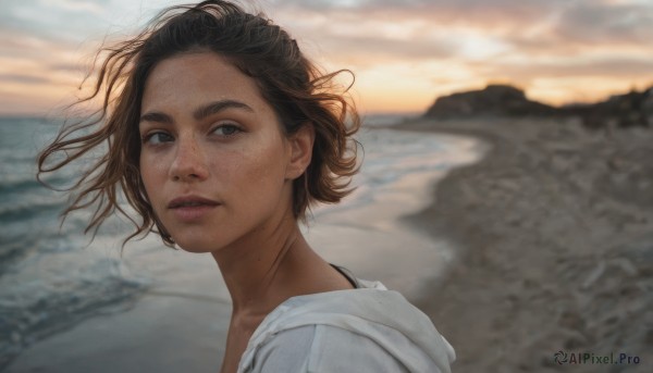 1girl,solo,looking at viewer,short hair,brown hair,black hair,brown eyes,upper body,outdoors,parted lips,teeth,hood,water,mole,blurry,lips,looking to the side,hoodie,floating hair,depth of field,blurry background,ocean,beach,hood down,wind,portrait,freckles,realistic,nose,sand,mole on cheek,jacket,sky,cloud,from side,thick eyebrows,cloudy sky,sunset,white hoodie,mole on neck