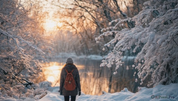 1girl, solo, 1boy, hat, standing, outdoors, bag, from behind, blurry, tree, coat, depth of field, backpack, scenery, snow, winter clothes, winter, bare tree