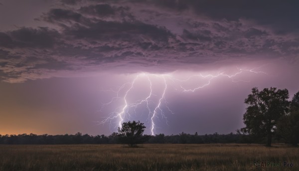 A lightning caught in a peaceful sunset outdoors
