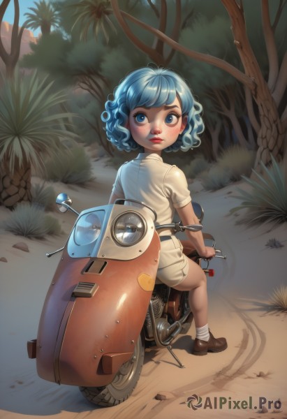 1girl,solo,looking at viewer,short hair,blue eyes,shirt,dress,sitting,closed mouth,blue hair,full body,white shirt,short sleeves,outdoors,shoes,shorts,socks,looking back,from behind,tree,lips,brown footwear,white socks,ground vehicle,child,nature,motor vehicle,forest,curly hair,female child,road,riding,motorcycle,scooter,blush