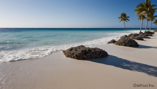 outdoors,sky,day,water,tree,blue sky,no humans,shadow,ocean,beach,scenery,rock,sand,palm tree,horizon,waves,shore,cloud