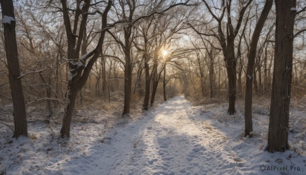 Snowy day brought to life with a dynamic landscape