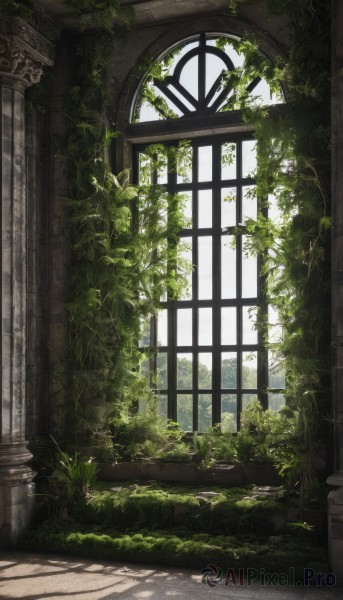 outdoors,day,indoors,no humans,window,sunlight,grass,plant,scenery,stairs,ruins,vines,pillar,arch,moss,overgrown,column,artist name,signature,fantasy,green theme