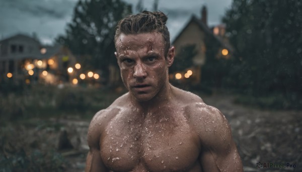 solo,looking at viewer,brown hair,black hair,1boy,closed mouth,nipples,upper body,male focus,nude,outdoors,dark skin,hair bun,blurry,black eyes,tree,wet,muscular,depth of field,blurry background,facial hair,dark-skinned male,pectorals,muscular male,building,rain,realistic,wet hair,manly,chest hair,photo background,short hair,sweat,sky,night,bara,topless male,house