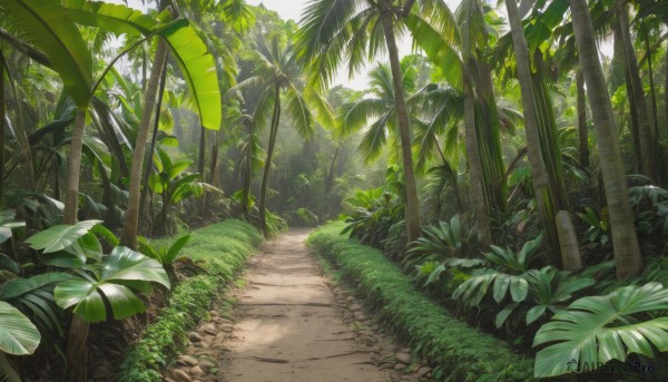 outdoors,day,tree,no humans,leaf,beach,sunlight,grass,plant,nature,scenery,forest,sand,palm tree,bush,green theme,path,road