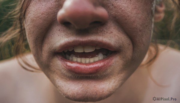 solo,smile,open mouth,blonde hair,brown hair,1boy,:d,male focus,teeth,blurry,lips,facial hair,portrait,beard,close-up,freckles,realistic,nose,mustache,grin,parody,horror (theme)