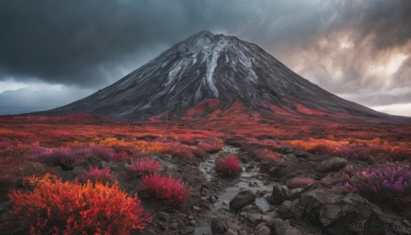 flower, outdoors, sky, cloud, no humans, cloudy sky, nature, scenery, rock, mountain, field, landscape, spider lily