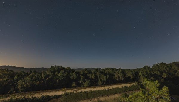 outdoors,sky,tree,no humans,night,grass,star (sky),nature,night sky,scenery,forest,starry sky,mountain,landscape