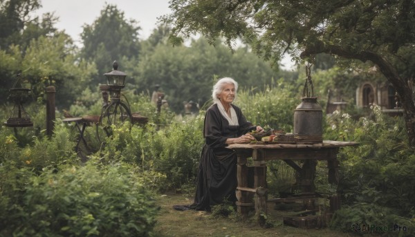 1girl,solo,long sleeves,1boy,holding,sitting,closed mouth,white hair,male focus,outdoors,food,japanese clothes,day,wide sleeves,blurry,tree,facial hair,chair,table,grass,plant,nature,scenery,beard,forest,robe,old,old man,old woman,garden,long hair,smile,jewelry,leaf,headwear removed,bush