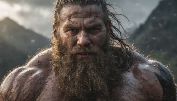 solo,long hair,looking at viewer,blue eyes,blonde hair,1boy,closed mouth,upper body,male focus,outdoors,day,blurry,muscular,blurry background,facial hair,scar,pectorals,muscular male,portrait,bara,beard,scar on face,veins,mountain,mature male,realistic,mustache,scar across eye,manly,old,chest hair,wrinkled skin,black hair,sky,cloud,messy hair,snow