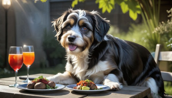 HQ,solo,brown eyes,outdoors,food,tongue,indoors,tongue out,blurry,cup,no humans,depth of field,blurry background,animal,chair,table,plate,alcohol,drinking glass,dog,realistic,glass,wine glass,animal focus,wine,meat,lettuce,salad,looking at viewer,holding,sitting,tree,knife,plant,fork,tomato,steak