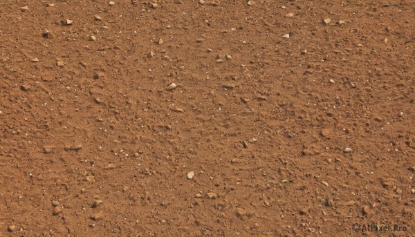 A refreshing image of a unique subject in outdoors