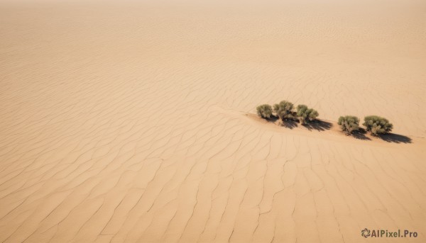 outdoors,tree,no humans,shadow,beach,scenery,sand,desert,wings,leaf,feathers,plant,feathered wings,map,log