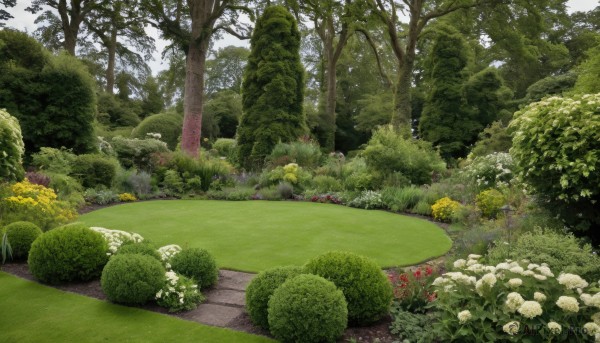 The wonder of a garden in a peaceful day