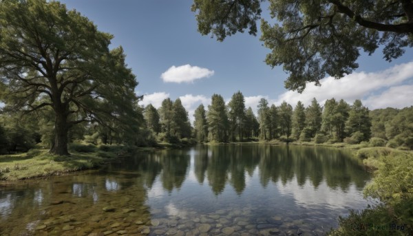 The elegance of a landscape in a idyllic day