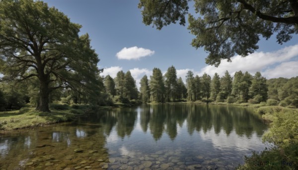 outdoors,sky,day,cloud,water,tree,blue sky,no humans,cloudy sky,grass,nature,scenery,forest,reflection,road,bush,river,landscape,lake,path,reflective water