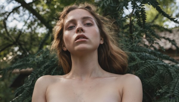 1girl,solo,long hair,open mouth,blue eyes,brown hair,collarbone,upper body,nude,outdoors,parted lips,teeth,day,blurry,tree,lips,blurry background,nature,freckles,realistic,looking at viewer,blonde hair,mole,leaf,plant,portrait,body freckles,mole on cheek