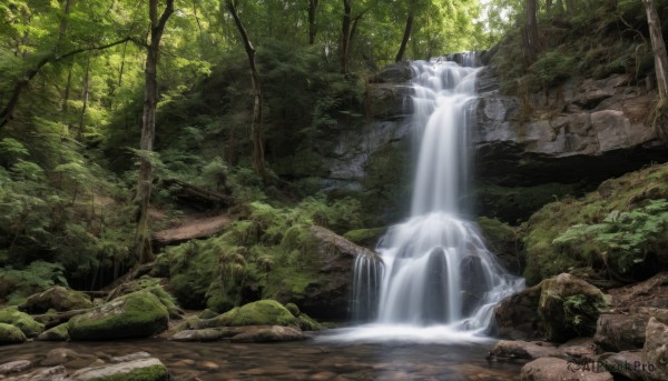 outdoors,day,water,tree,no humans,sunlight,nature,scenery,forest,rock,river,waterfall,moss,stream,landscape