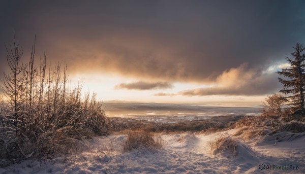 outdoors,sky,cloud,water,tree,no humans,ocean,beach,cloudy sky,nature,scenery,snow,sunset,mountain,sand,horizon,winter,bare tree,waves,landscape,shore,monochrome,sunlight