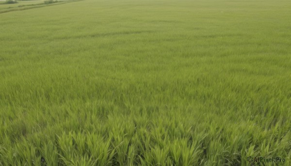 outdoors,sky,day,no humans,grass,nature,scenery,field,landscape,traditional media,plant,road,green theme