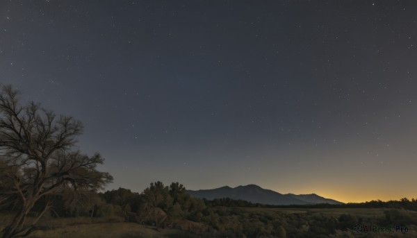 outdoors,sky,tree,no humans,night,grass,star (sky),nature,night sky,scenery,forest,starry sky,sunset,mountain,bare tree,landscape,mountainous horizon,gradient sky,sunrise,field,hill