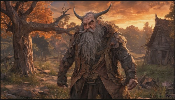 solo,long hair,gloves,long sleeves,1boy,standing,jacket,white hair,male focus,cowboy shot,outdoors,horns,sky,pointy ears,belt,pants,cloud,armor,tree,coat,facial hair,border,cloudy sky,grass,shoulder armor,building,nature,scenery,beard,clenched hands,sunset,rock,mountain,mustache,scar across eye,house,old,old man,orange sky,grey hair,open clothes,fingerless gloves,vest,forest,brown jacket,fantasy,brown coat,bare tree,twilight,brown vest,path