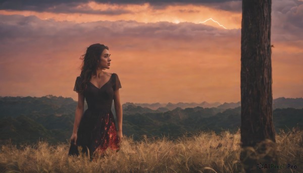 A female showcased in a vivid sunset outdoors