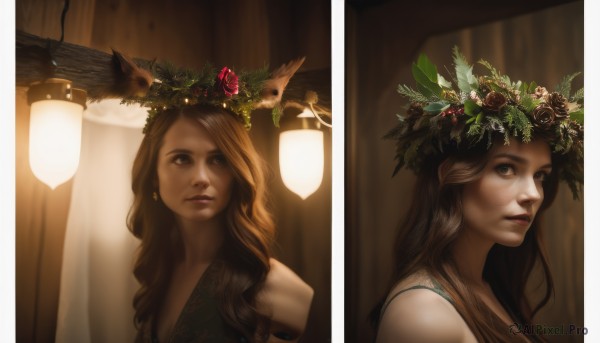 1girl,long hair,looking at viewer,multiple girls,brown hair,hair ornament,2girls,brown eyes,jewelry,upper body,flower,earrings,parted lips,hair flower,lips,multiple views,rose,bird,animal,leaf,wavy hair,red flower,lantern,realistic,head wreath,deer,comparison,blue eyes,blonde hair,light,split screen