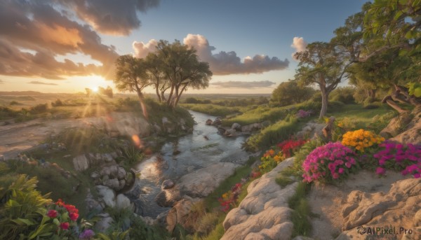 flower,outdoors,sky,day,cloud,water,tree,blue sky,no humans,sunlight,cloudy sky,grass,plant,nature,scenery,forest,sunset,light rays,rock,mountain,purple flower,sun,bush,river,landscape,orange flower,stream,red flower,yellow flower,path