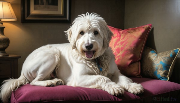 HQ,solo,looking at viewer,jewelry,tongue,indoors,tongue out,necklace,pillow,no humans,bed,animal,on bed,pendant,dog,realistic,lamp,animal focus,white fur,painting (object),lion,open mouth,braid,lying,black eyes,collar,fangs,gem,couch,wall,animal collar