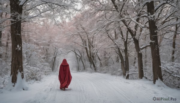 solo,outdoors,hood,cape,tree,no humans,nature,scenery,cloak,snow,forest,road,winter,hooded cloak,bare tree,path,footprints,red cloak,1girl,1boy,standing,hood up