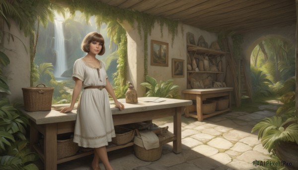 1girl,solo,looking at viewer,smile,short hair,bangs,brown hair,dress,brown eyes,standing,collarbone,short sleeves,outdoors,shoes,barefoot,day,belt,indoors,water,white dress,tree,lips,table,sunlight,bottle,plant,scenery,walking,basket,potted plant,waterfall,jar,blue eyes,window,chair,looking away,bob cut,bread,overgrown