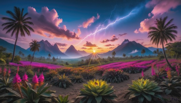 flower, outdoors, sky, cloud, tree, no humans, cloudy sky, star (sky), nature, scenery, sunset, mountain, yellow flower, palm tree, lightning, mountainous horizon