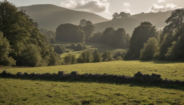 A glimpse of a landscape in a lush day