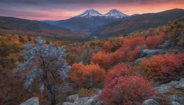 outdoors,sky,cloud,tree,no humans,leaf,grass,nature,scenery,forest,sunset,rock,mountain,autumn leaves,maple leaf,bare tree,autumn,landscape,mountainous horizon,red sky,traditional media,cloudy sky,evening,orange sky