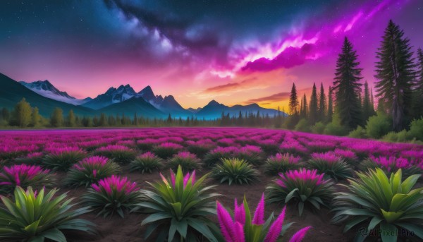 A dynamic view of a landscape in sunset outdoors