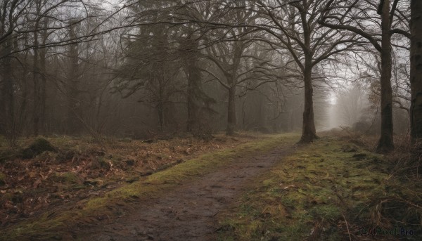 The allure of a landscape in a inviting day
