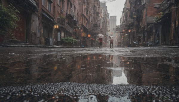 A majestic female within a beautiful rainy outdoors