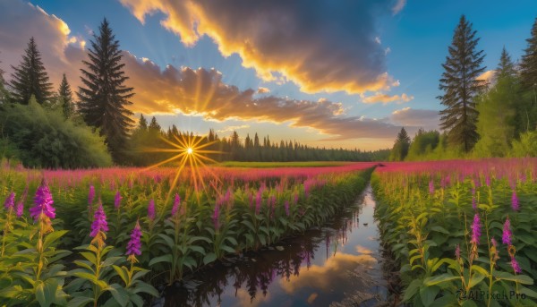 A serene sunset outdoors featuring a landscape