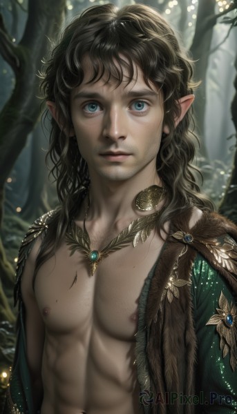 solo,long hair,looking at viewer,blue eyes,brown hair,black hair,1boy,navel,jewelry,closed mouth,nipples,collarbone,upper body,male focus,outdoors,open clothes,pointy ears,artist name,necklace,stomach,mole,blurry,tree,lips,tattoo,muscular,depth of field,blurry background,facial hair,watermark,wavy hair,expressionless,abs,pectorals,elf,messy hair,gem,nature,pendant,forest,freckles,toned,realistic,nose,fantasy,bare pectorals,cape,web address,curly hair,topless male,toned male