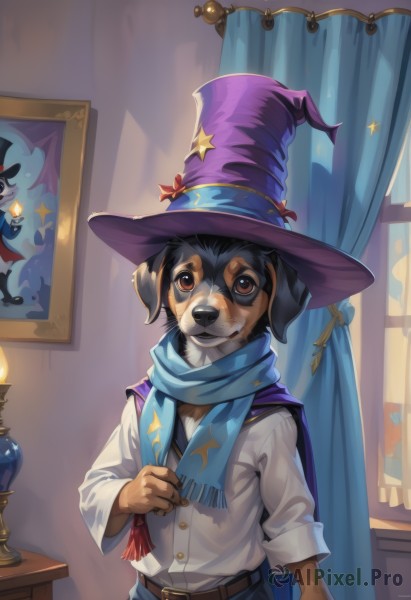 solo,looking at viewer,shirt,black hair,long sleeves,1boy,hat,brown eyes,standing,white shirt,male focus,cowboy shot,belt,pants,indoors,star (symbol),scarf,cape,window,witch hat,curtains,furry,hat ornament,dog,brown belt,candle,furry male,purple headwear,blue scarf,blue cape,snout,painting (object),wizard hat,wizard,smile,animal ears