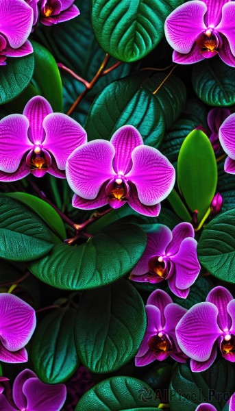 The majestic beauty of a unique subject set within a ethereal outdoors