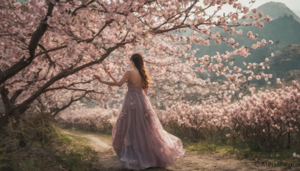 1girl, solo, long hair, brown hair, dress, bare shoulders, standing, flower, outdoors, from behind, white dress, tree, grass, cherry blossoms, scenery